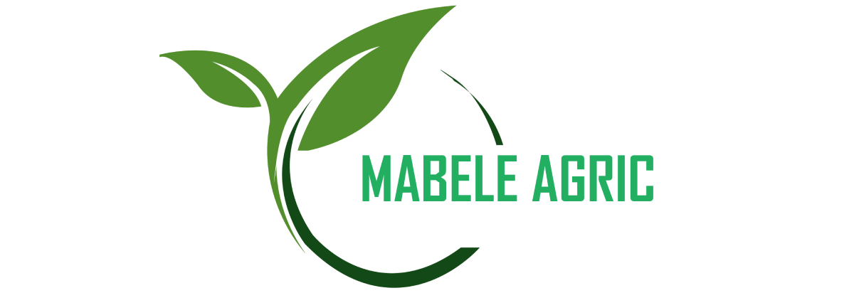 Mabele Agric